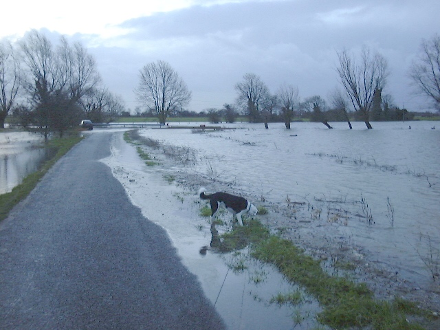 Flooding - February 2001 