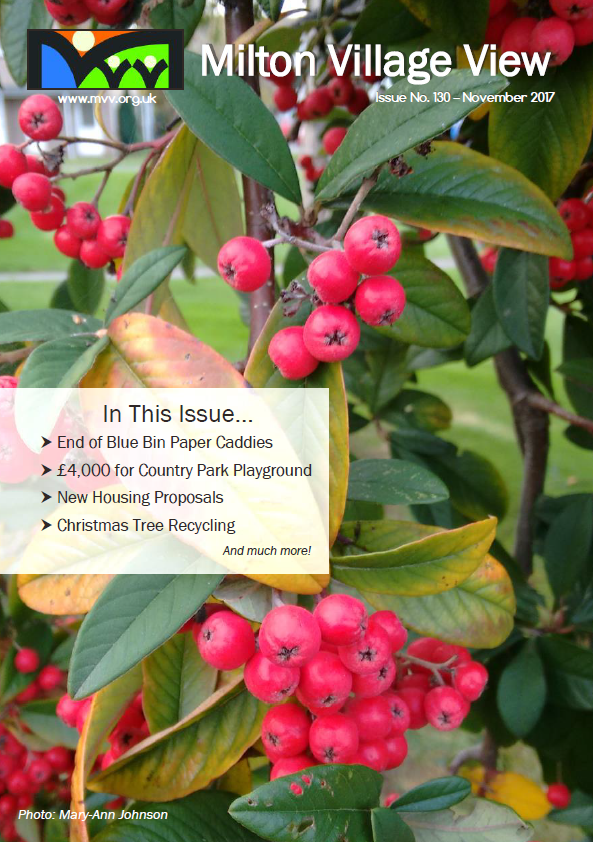 Village View Nov 2017