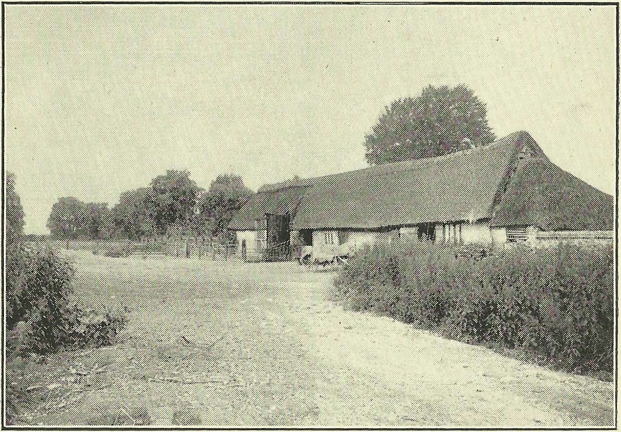 Cole's Barn and Meadow