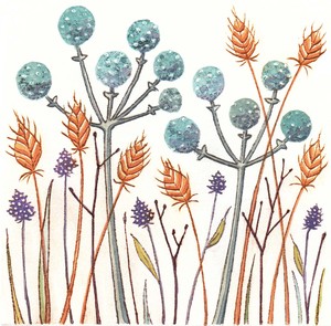 Blue Seeds - image by Alison Hullyer
